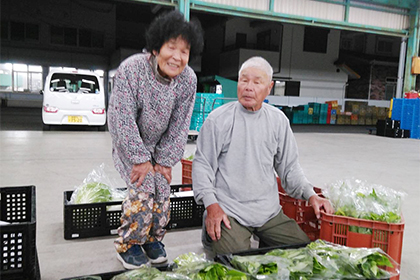 空心菜生産者：鈴木さん