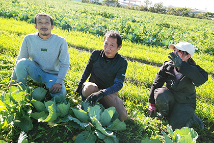 キャベツ生産者：大東農産さん